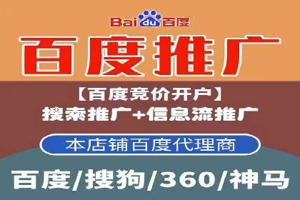 SEM专员案例：跨平台广告投放策略
